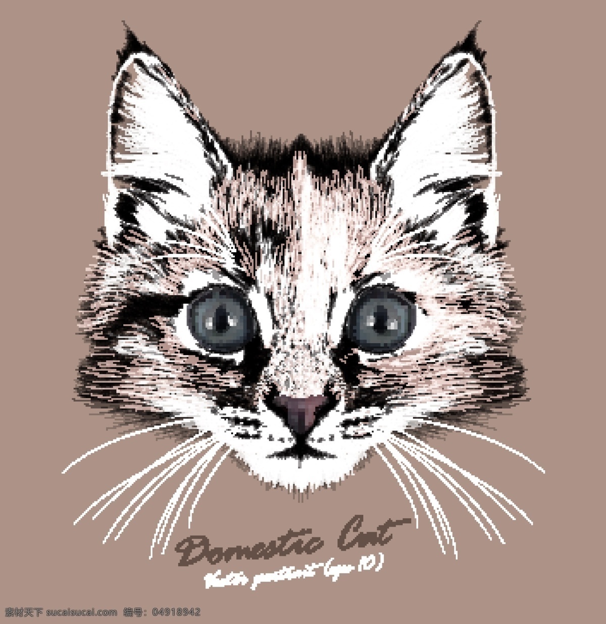 可爱 猫咪 宠物 猫 头像 品种 矢量 狐狸 名猫 动物 猫奴 毛绒绒 猫科动物 卡通 水彩 手绘 插画