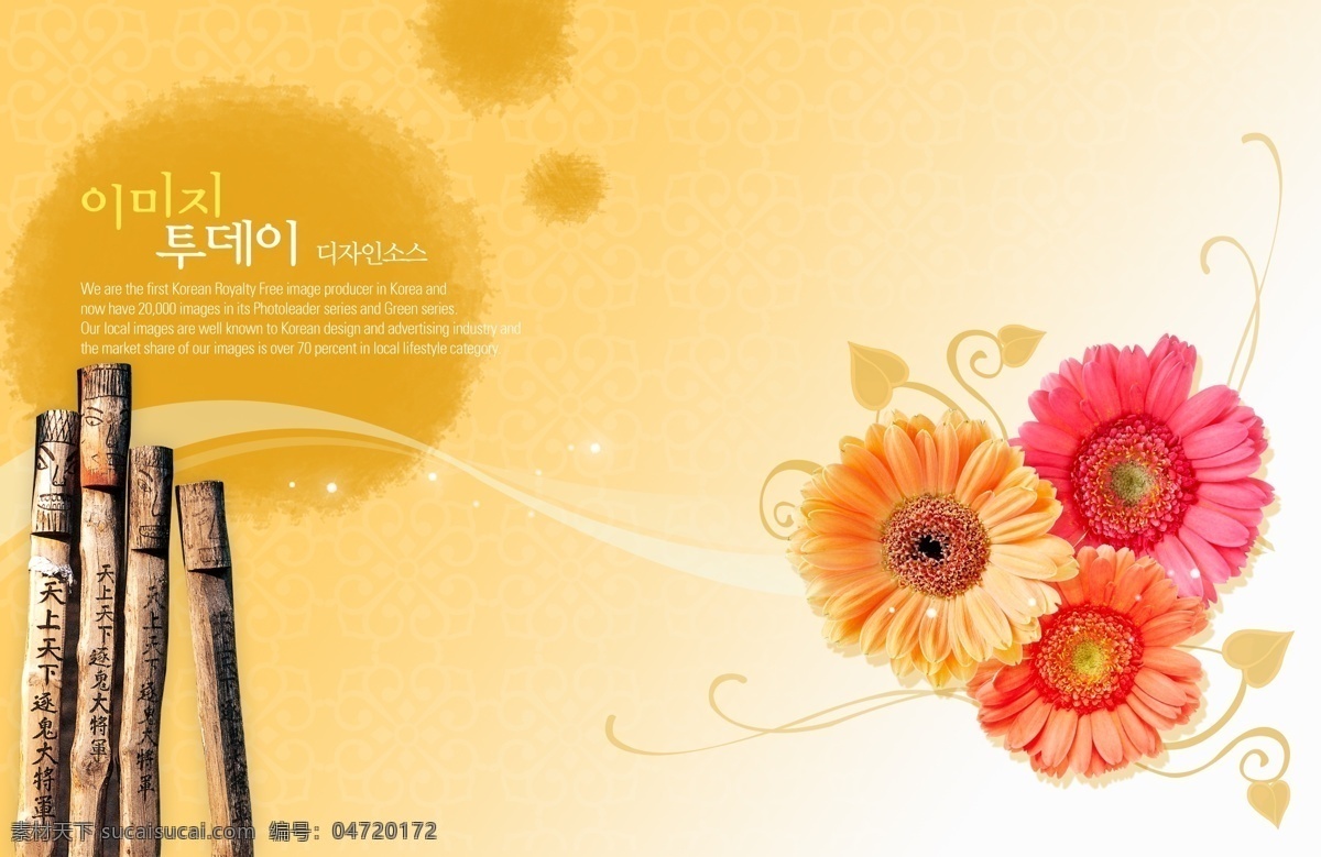 粉红 色系 菊花 平面 设计图 psd源文件 韩国风格 平面设计行业 菊花图案