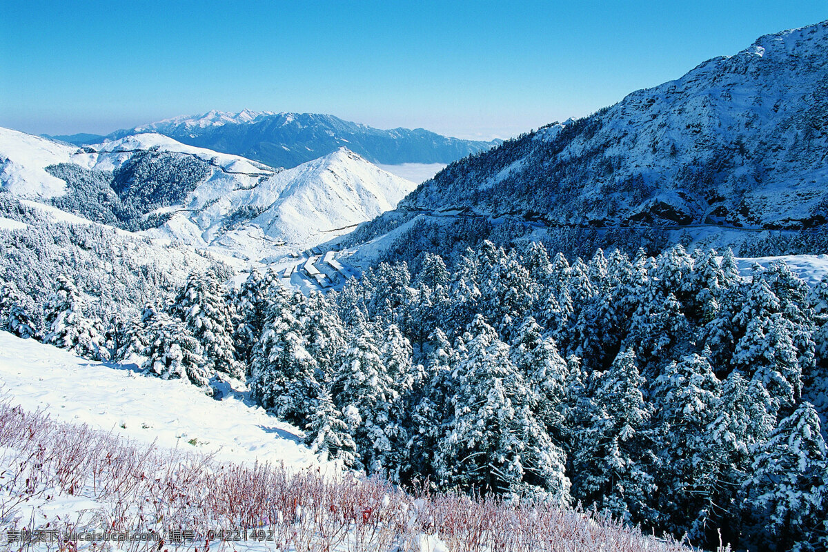 冬天 雪景 背景 冬天雪景 风光 风景 季节 摄影图库 自然 自然风景 自然景观 生活 旅游餐饮