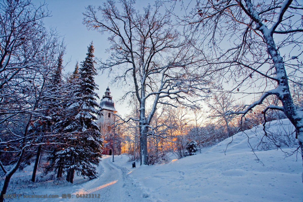 冬季 雪景 冬天 美丽风景 景色 美景 积雪 房屋 雪地 森林 树木 雪景图片 风景图片