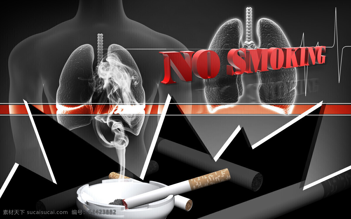 人体 肺部 模型 烟 吸烟 烟灰缸 肺部模型 肺部疾病 人体器官 医疗 医学 医疗护理 现代科技