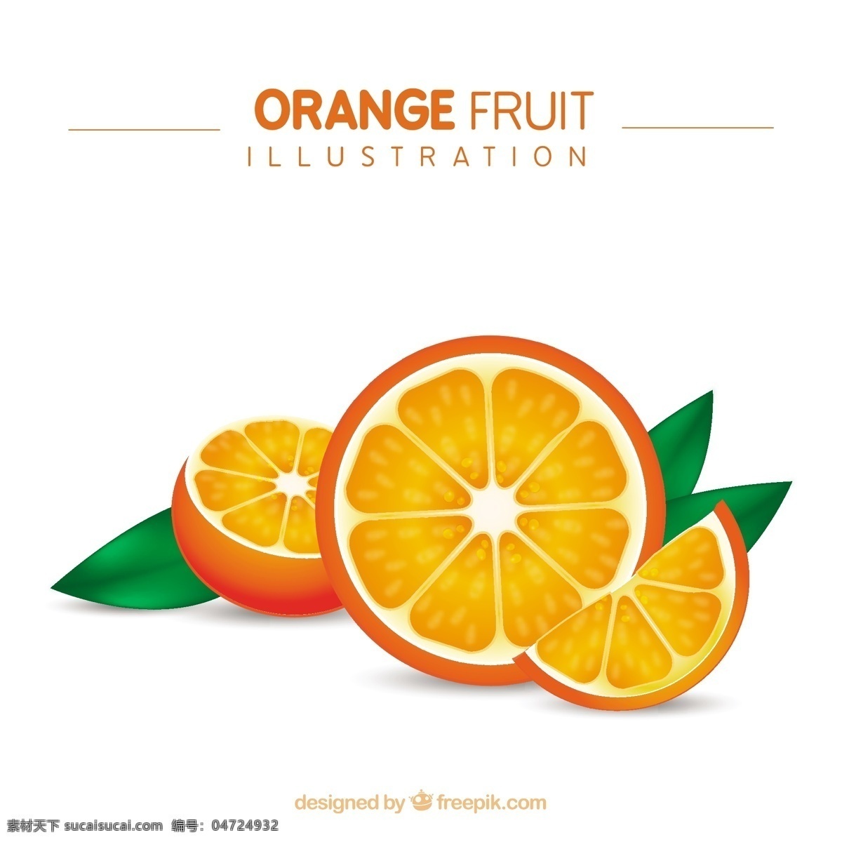 橙色 水果 插图 食品 橘子 健康 健康食品 有机食品 白色