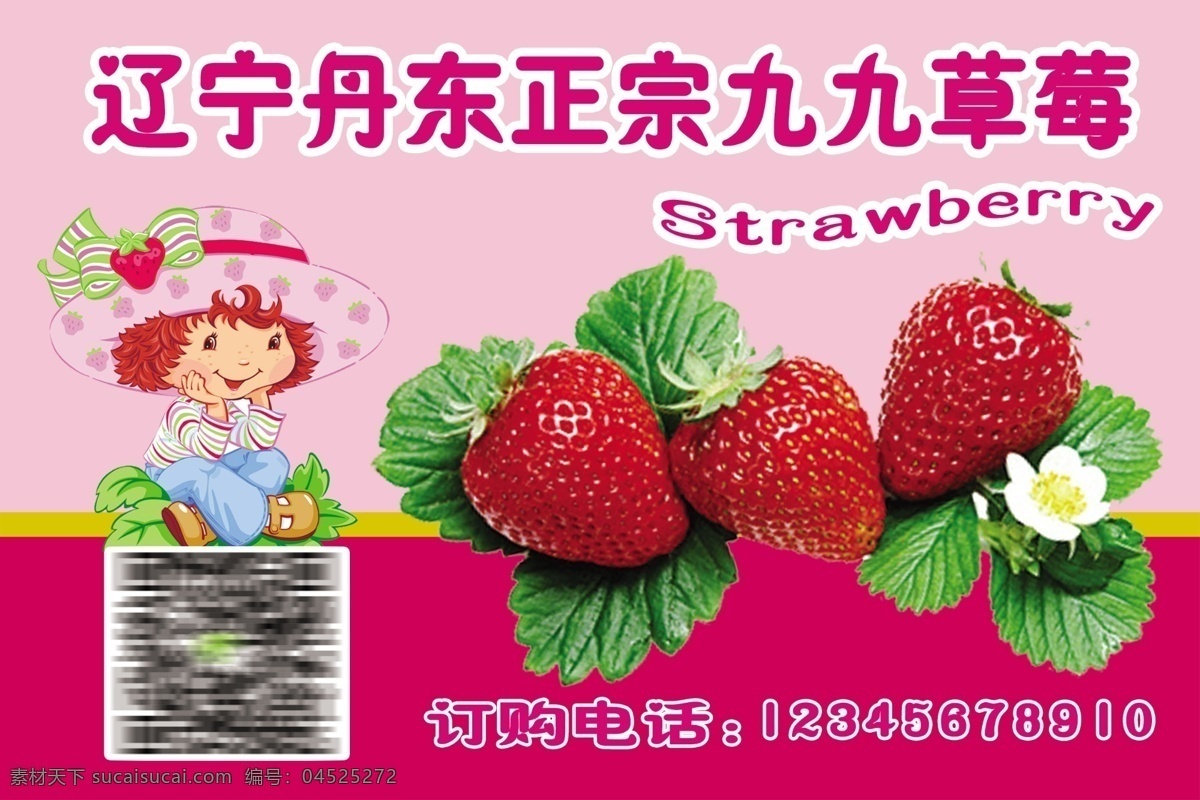 草莓不干胶 草莓 不干胶 辽宁丹东 九九草莓 正宗草莓