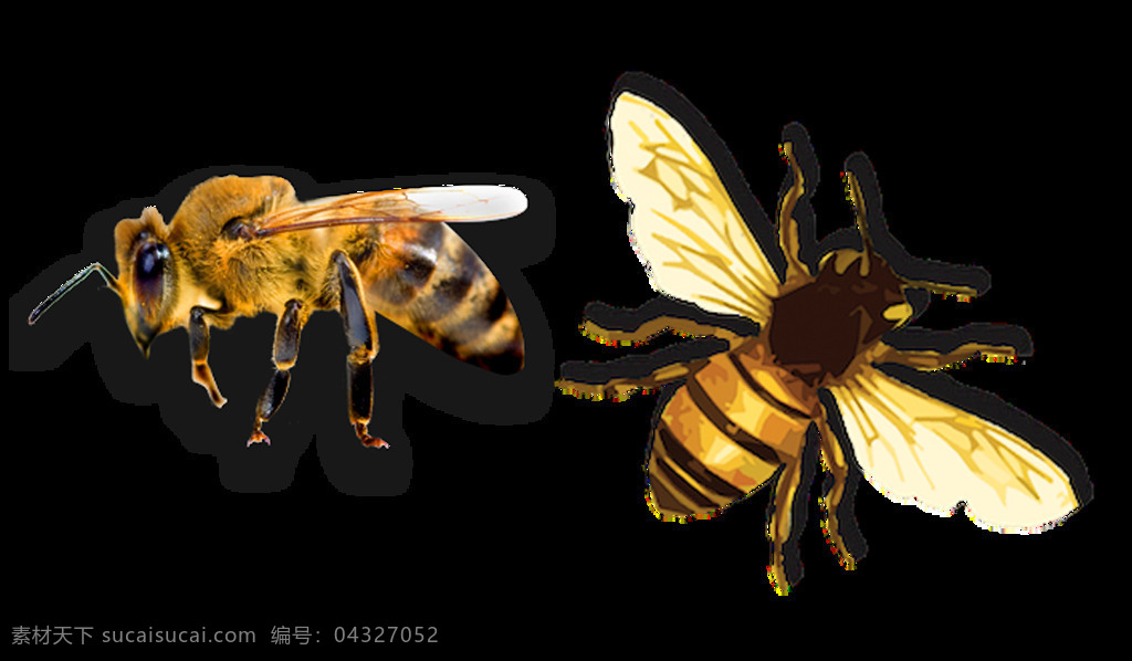 蜜蜂 免 抠 透明 图 层 大全 大图 大蜜蜂 金蜜蜂 小 卡通 蜜蜂照片 蜂蜜元素 蜜蜂元素 蜜蜂素材 蜜蜂海报素材 蜜蜂广告图片