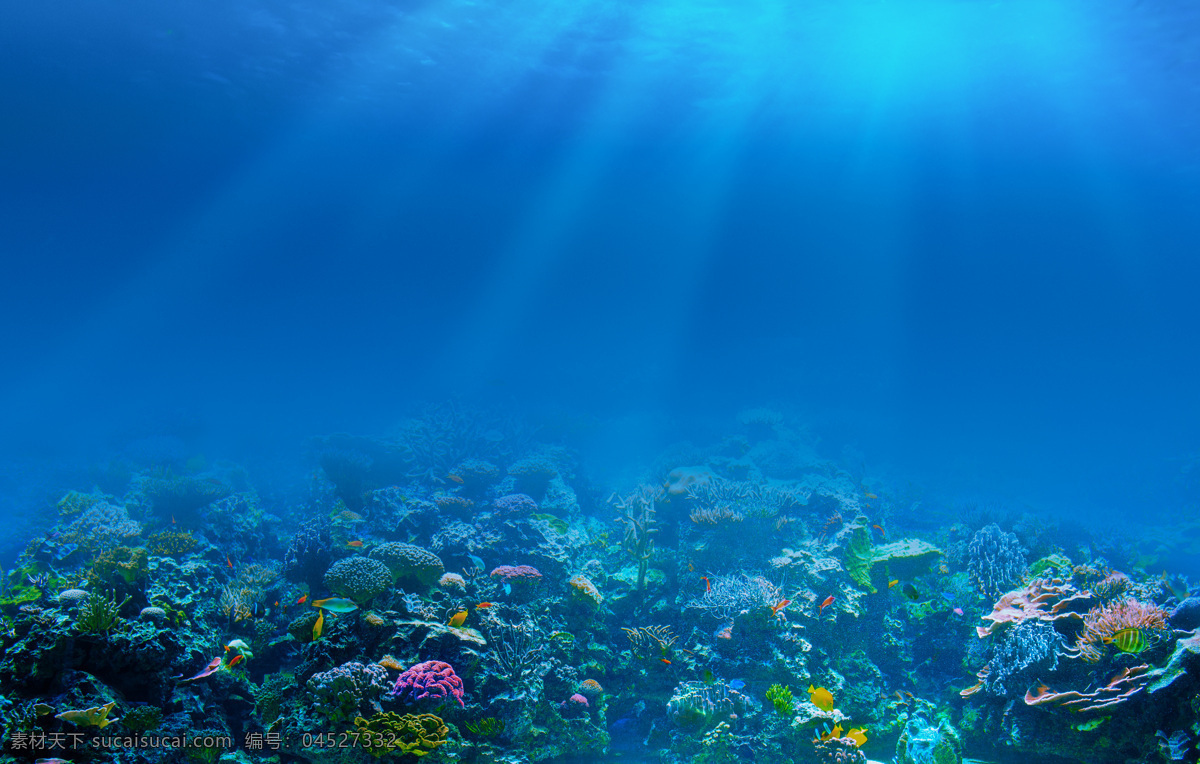 海底世界 海底 海底素材 大海 海水 鱼群 海底世界图片 珊瑚 海洋 生物世界 海洋生物