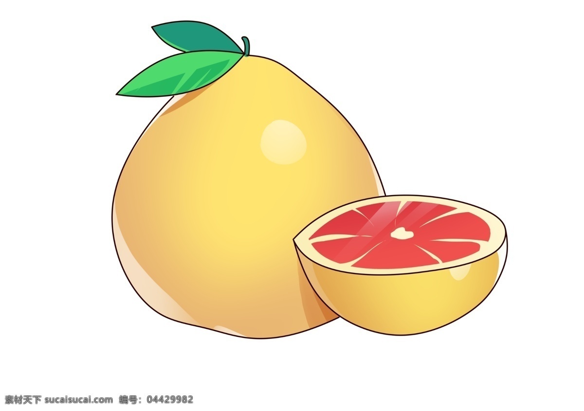 红柚 西柚 柚子插画 柚子绘画