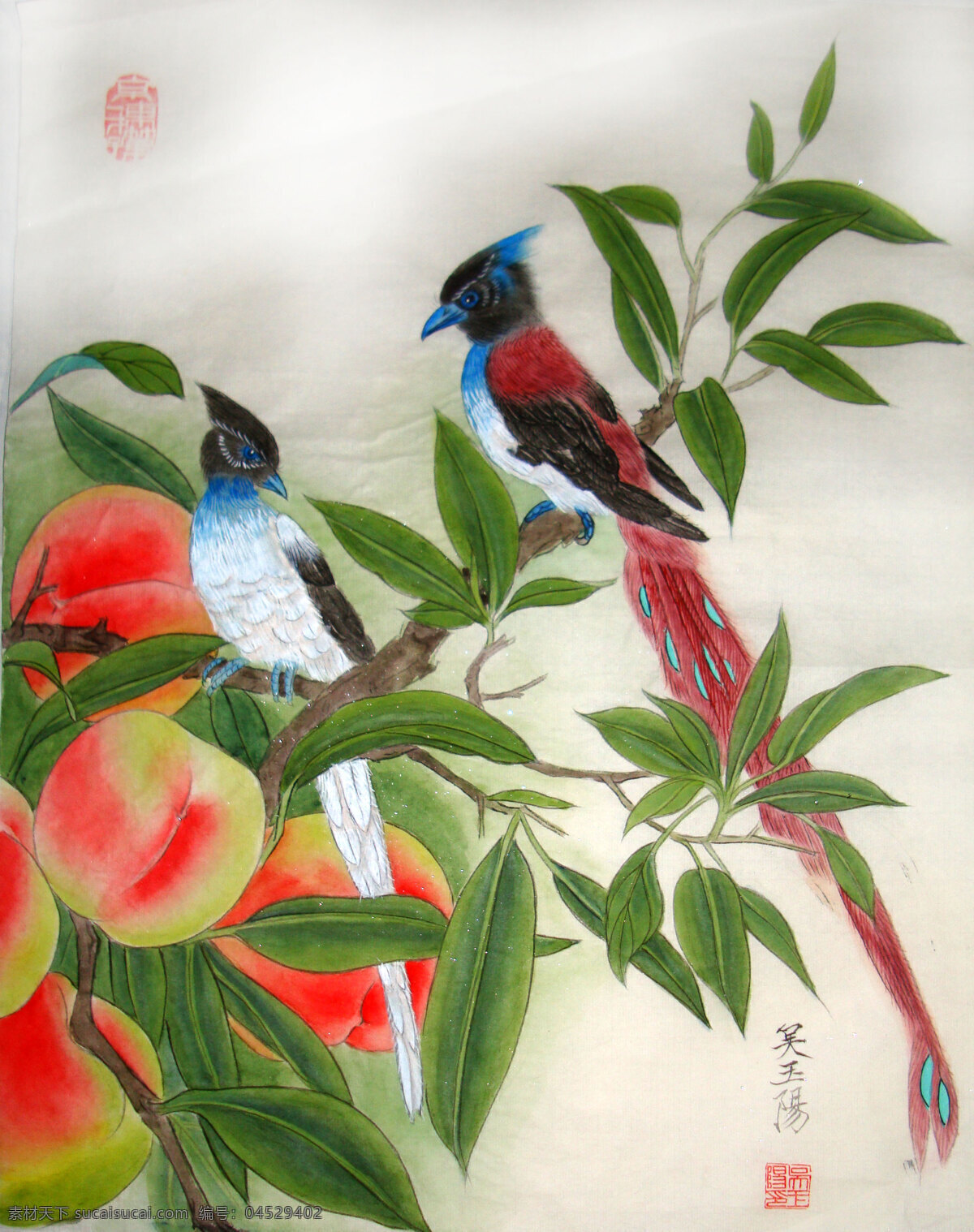 吴 玉阳 工笔画 寿桃 绶带鸟 吴玉阳 蟠桃 桃 重彩画 工笔 花鸟画 文化艺术 绘画书法