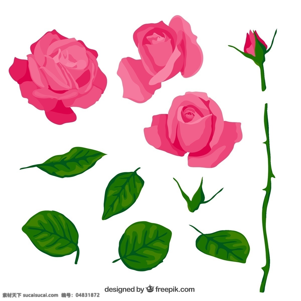 粉色 玫瑰 叶子 花朵 粉玫瑰 花苞 玫瑰叶 矢量 高清图片