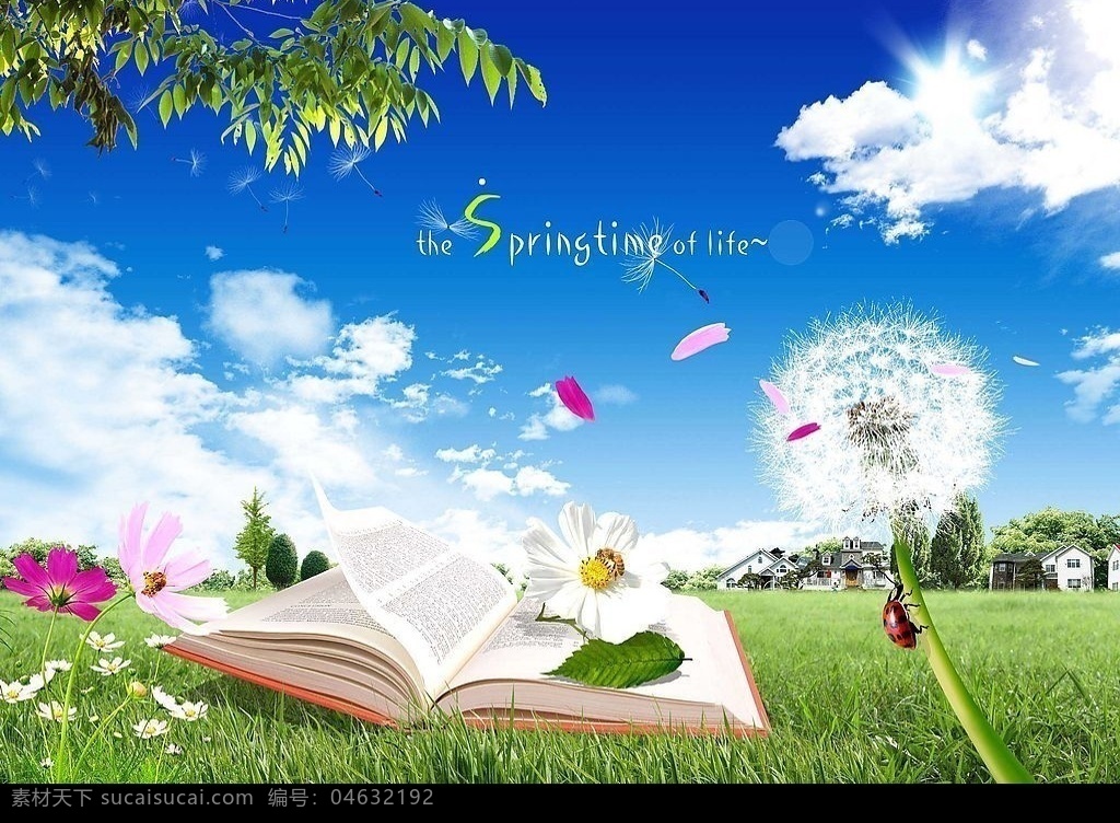 阳光 下 草地 上 翻开 书 很漂亮的图片 分层 风景 源文件库 蒲公英 书本 花朵 树叶 蓝天白云