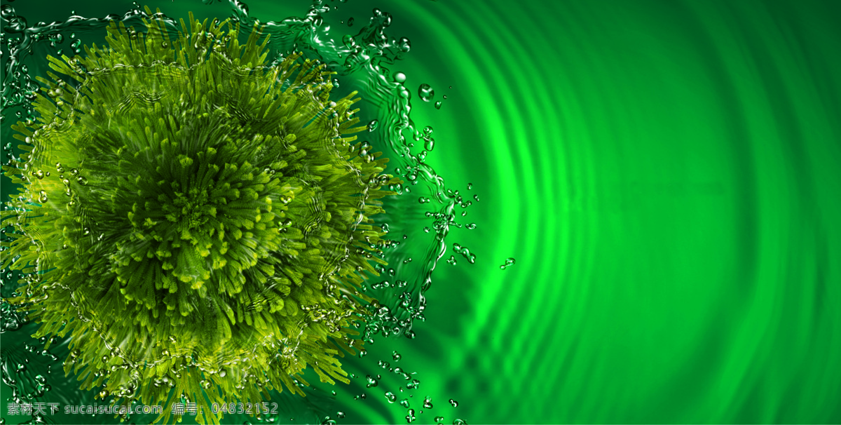 海藻 绿色 水 活力 绿藻