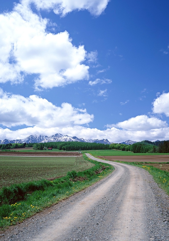 田野公路 田野 田野图片 素材图片 乡村 农作物 土地 天空 白云 蓝天 农家 田园风光 自然景观