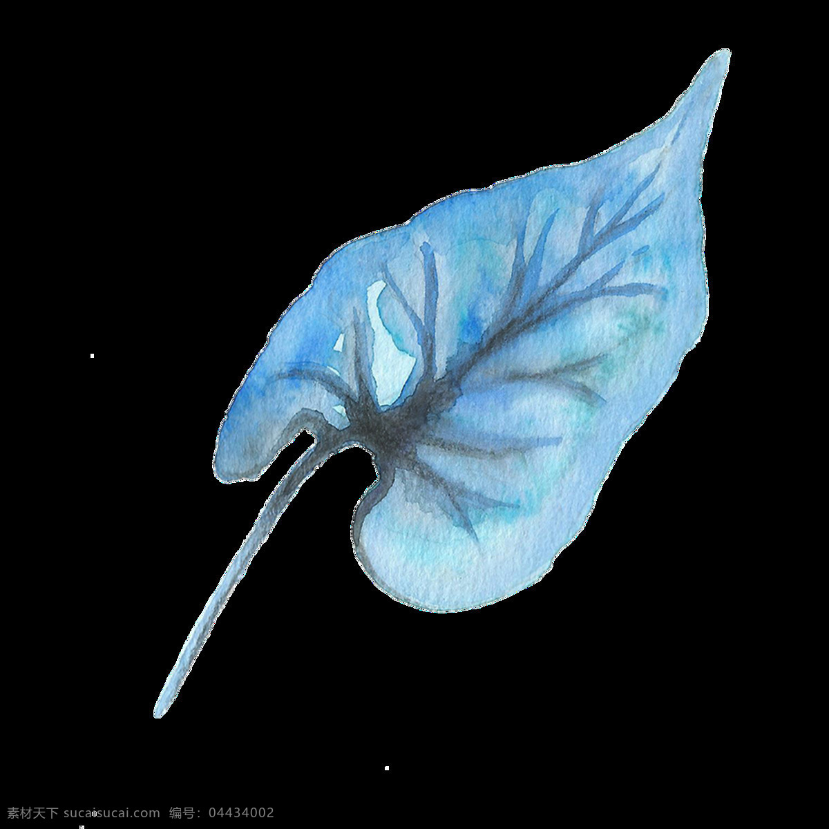 水 蓝色 叶子 透明 独特 免扣素材 水彩 透明素材 唯美 渲染 一片叶子 装饰图案