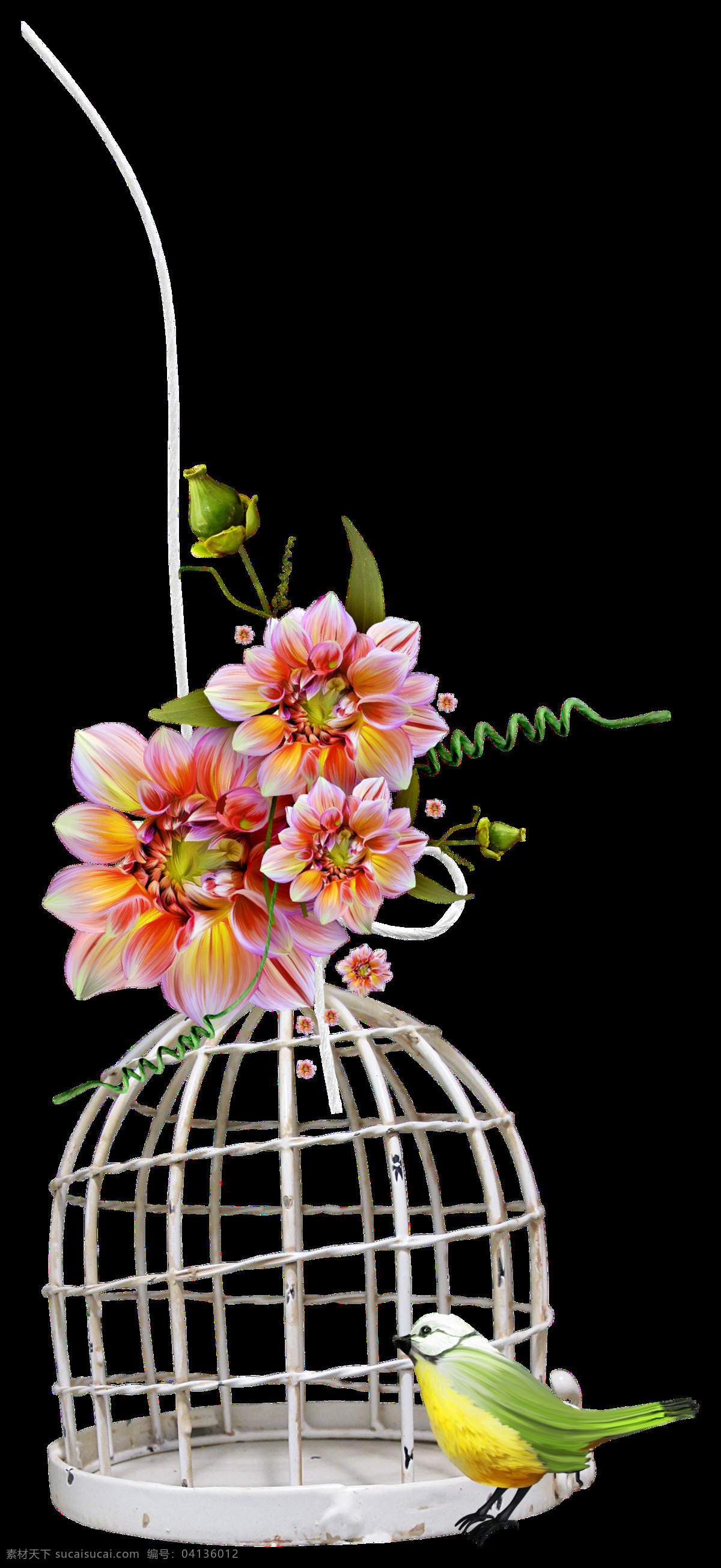 手绘 水彩 花卉 鸟笼 透明 粉红色 白色 小鸟 花蕾 透明素材 免扣素材 装饰图片