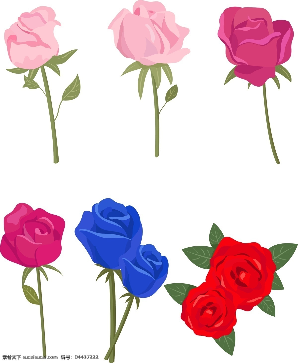 玫瑰花 元素 合集 矢量 商用 粉色 紫色 蓝色 红色