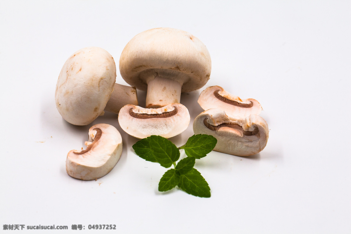 口蘑 白蘑 圆蘑菇 洋蘑菇 双孢蘑菇 白蘑菇 蘑菇 食物 食材 餐饮美食 食物原料 食物原料01