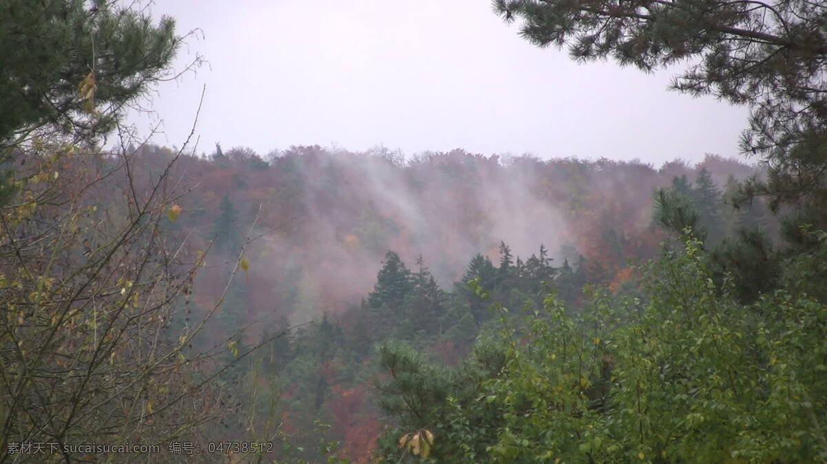 山谷 升起 雾气 德国 股票 视频 橙色 红色 黄色 绿色 秋天 色 上升 视频免费下载 树 法兰克福 雾 从山谷 树叶 其他视频
