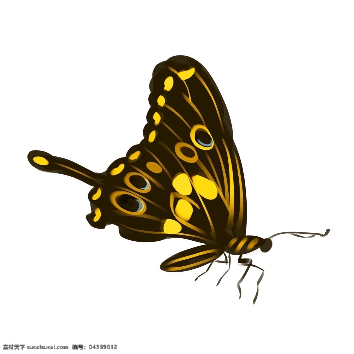 黄色 美丽 蝴蝶 插画 黄色的蝴蝶 卡通插画 动物插画 蝴蝶插画 动物蝴蝶 昆虫 益虫 漂亮的蝴蝶