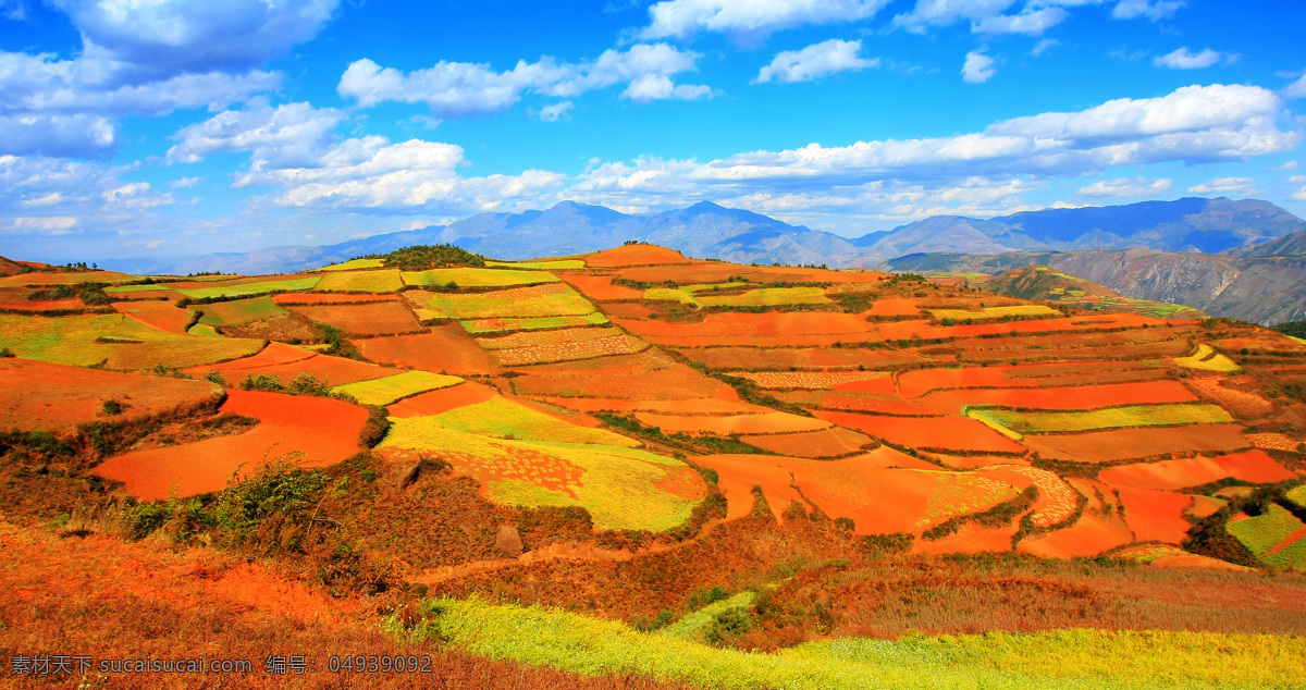 白云 草原 春天 耕种 蓝天 山峦 山丘 东川红土地 壮丽红土地 红土地 翻耕 播种 连绵 壮美 田园风光 自然景观 psd源文件