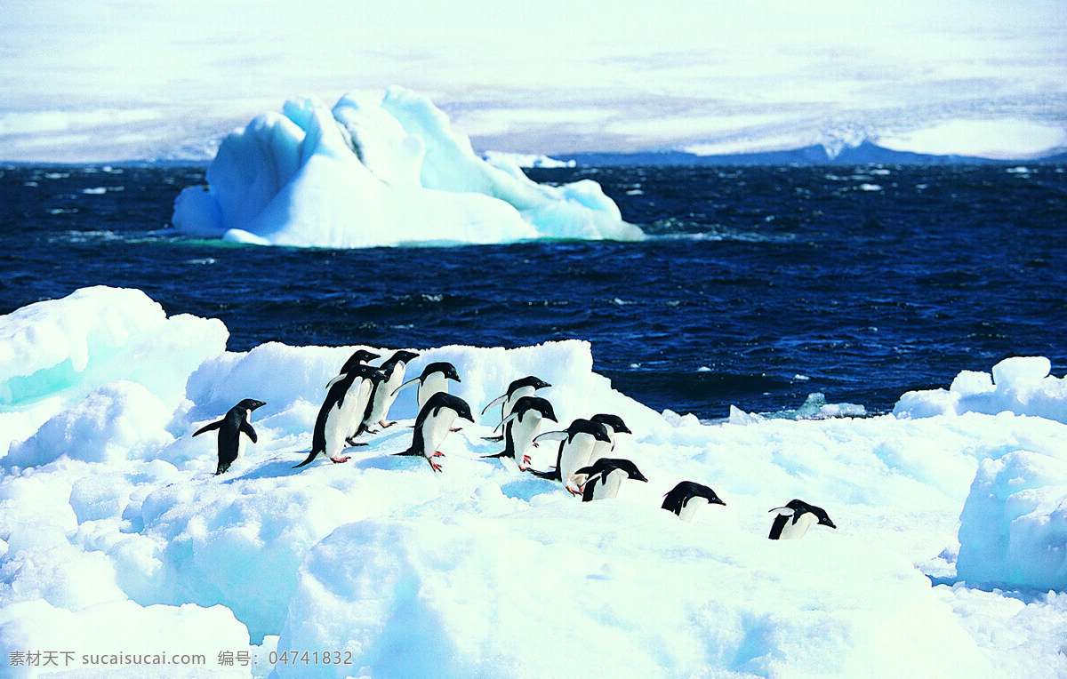 南极 风光 冰山 企鹅 南极风光 风景 生活 旅游餐饮