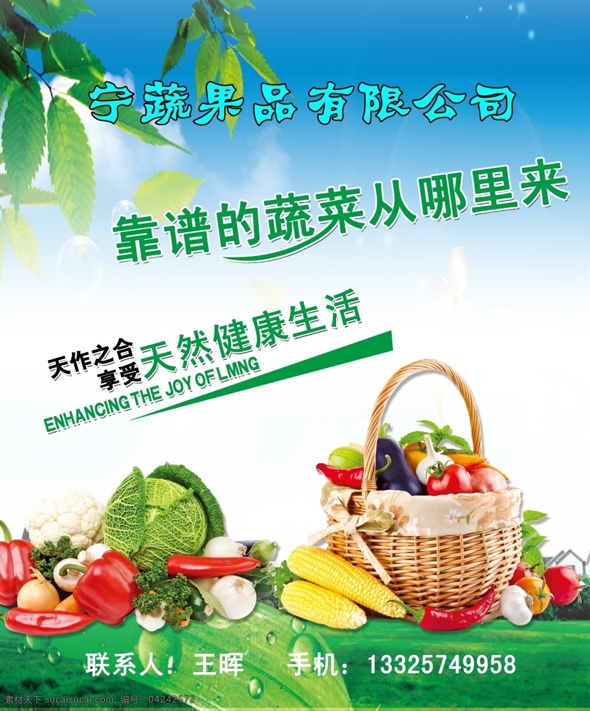 农产品展板 蔬菜果品 蔬菜 水果 菜篮子 蓝天 绿叶 草地 草原 展板模板 广告设计模板 源文件