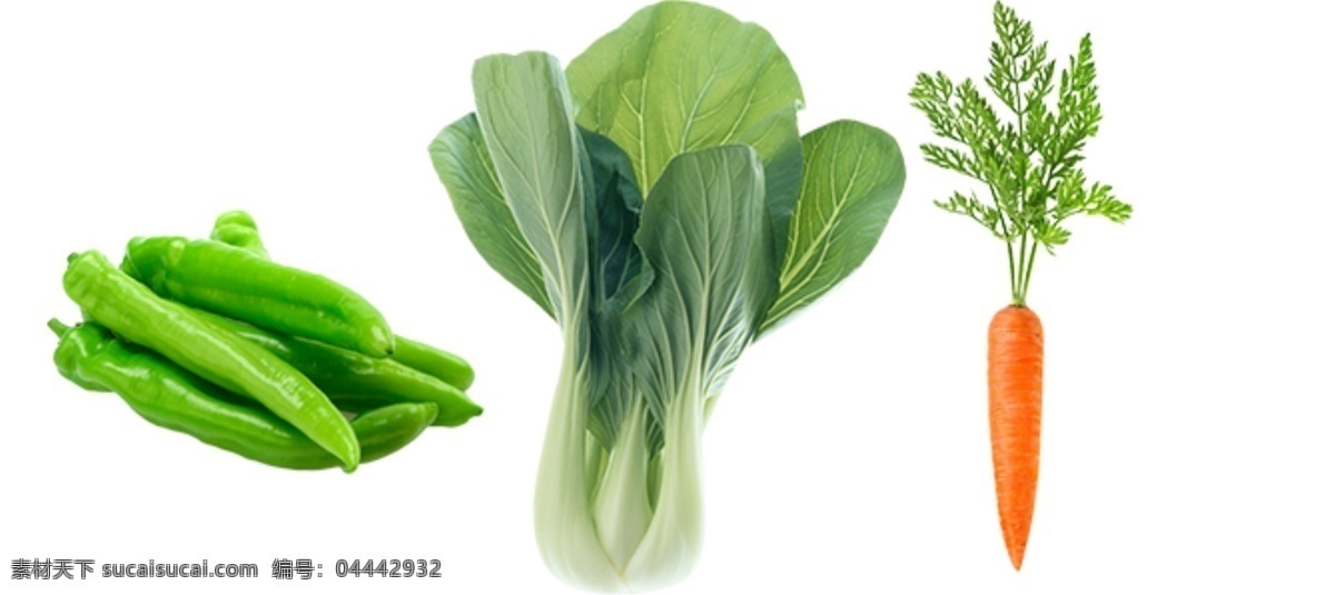 蔬菜图片 蔬菜 胡萝卜 青菜 辣椒 大白菜 小青菜 蔬菜素材 蔬菜元素