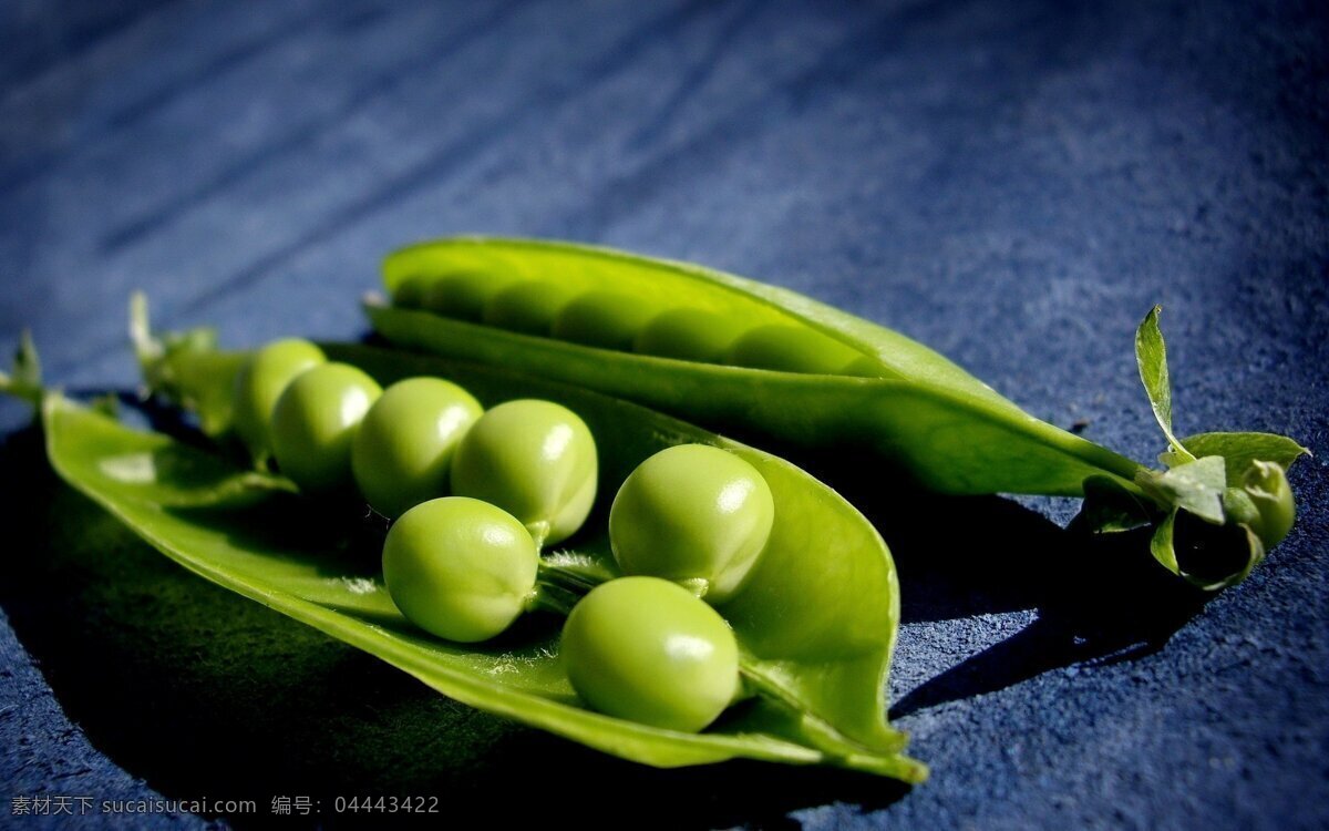翠绿 豌豆 可爱 青绿 背景图片