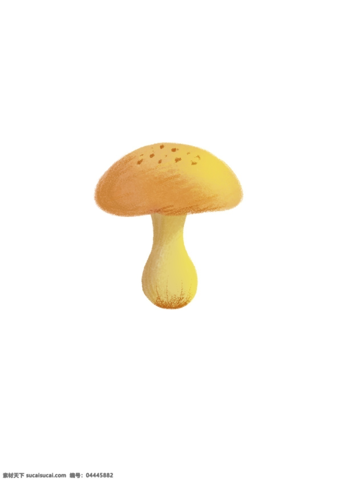 蘑菇图片 蘑菇 插画 山上 春天 食物 黄色 美味 雨衣 秋天 植物 新鲜 分层