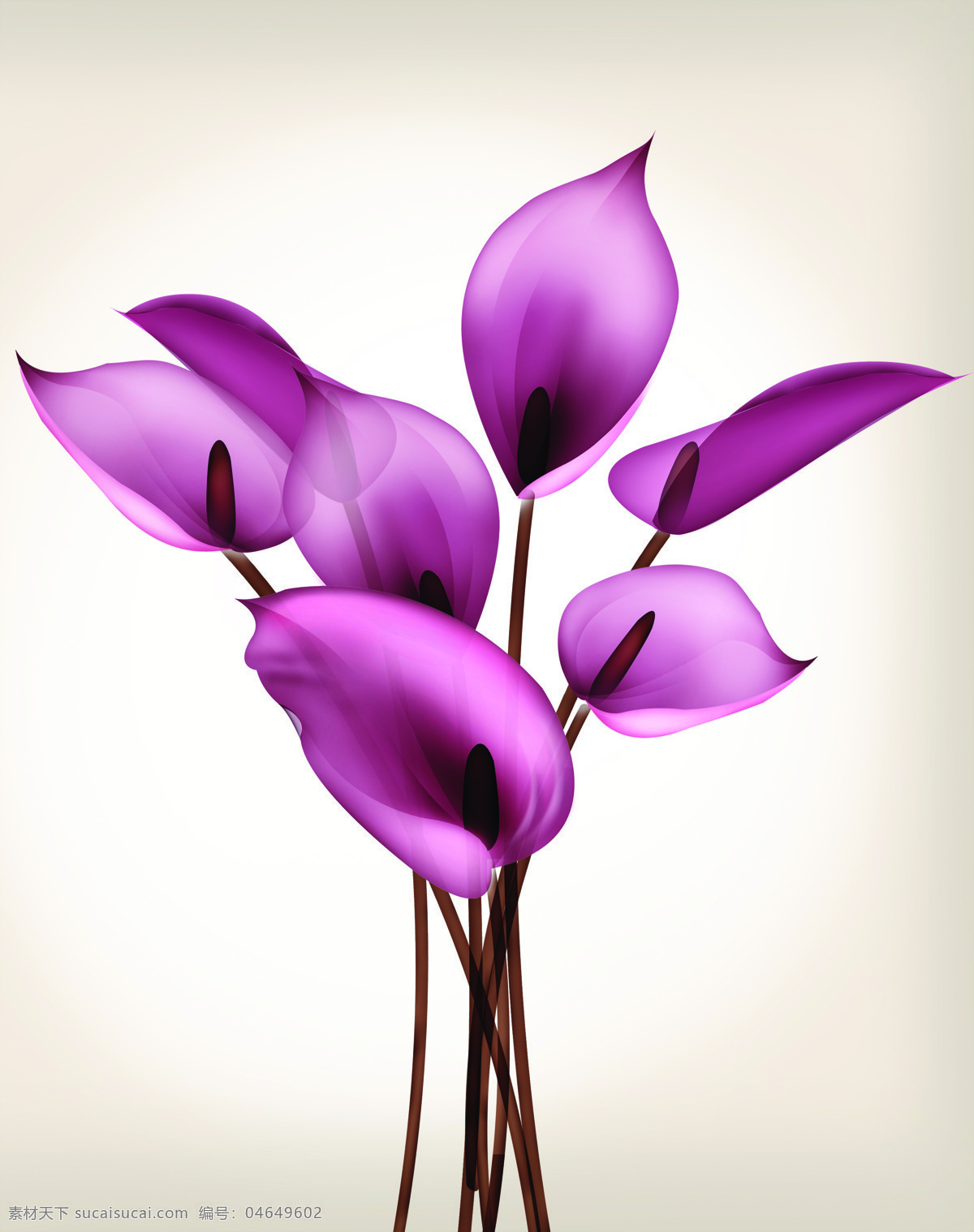 紫色 百合 百合花 淡紫色背景 花朵 y1869 紫情 紫色百合 索亚卡19 移门大全19 家居装饰素材