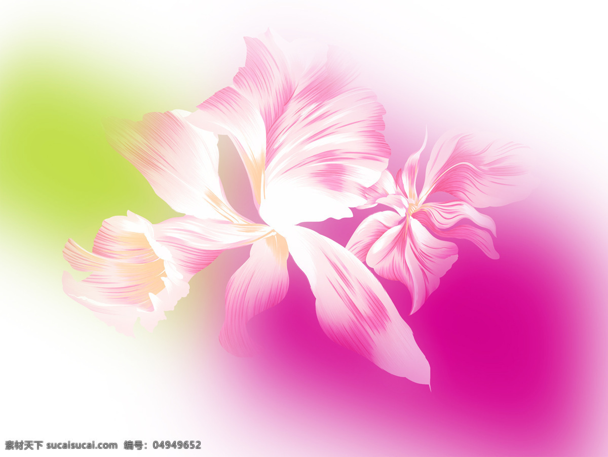 梦幻背景 梦幻底纹 淡雅 梦幻 花朵 背景图片 背景底纹 底纹边框