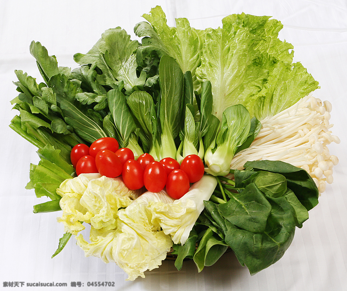 白菜 菠菜 餐饮美食 传统美食 金针菇 青菜 摄影图库 生菜 蔬菜 时蔬 油菜 油麦菜 圣女果 蔬菜拼盘 鲜令时蔬 圆白菜 饭店菜品 风景 生活 旅游餐饮