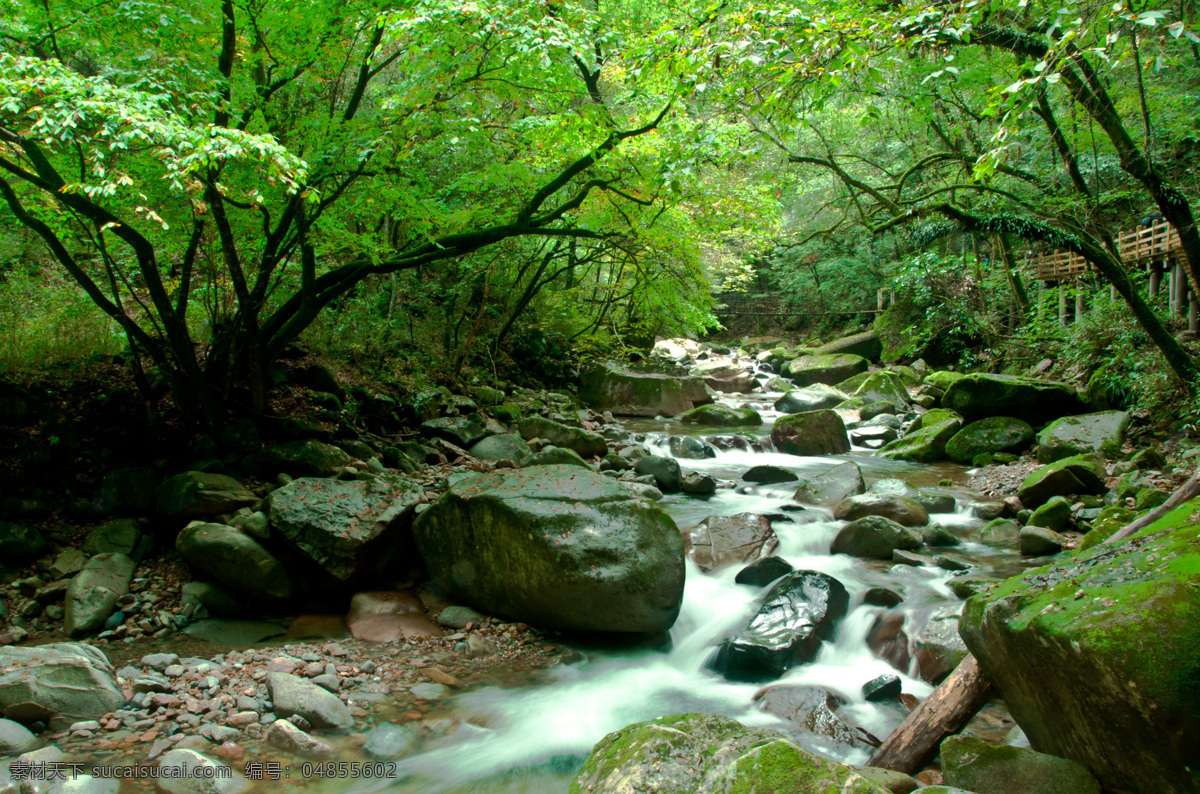 光雾山 流水 小溪 山泉 溪流 山谷 幽静 河流 山水风景 自然景观