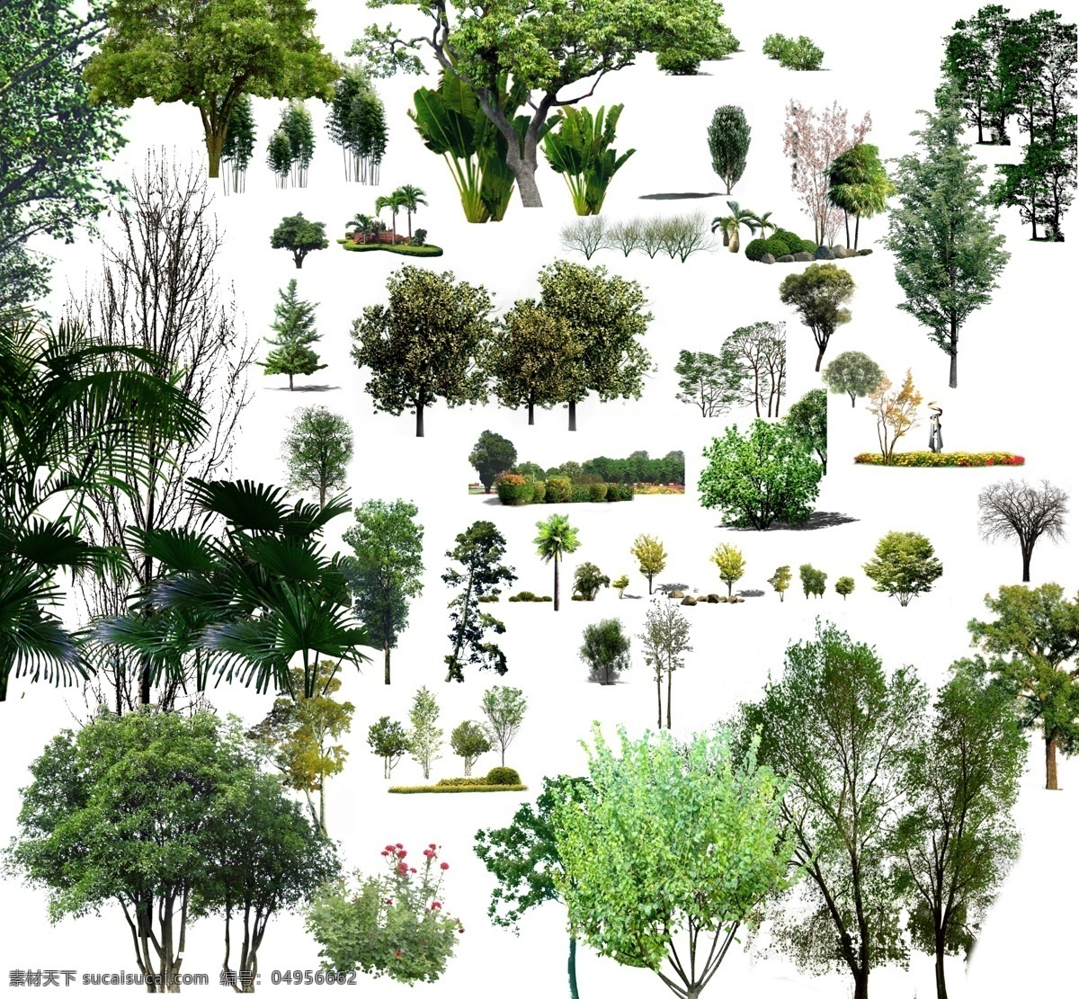 绿化植物素材 树 绿化 植物 分层 源文件