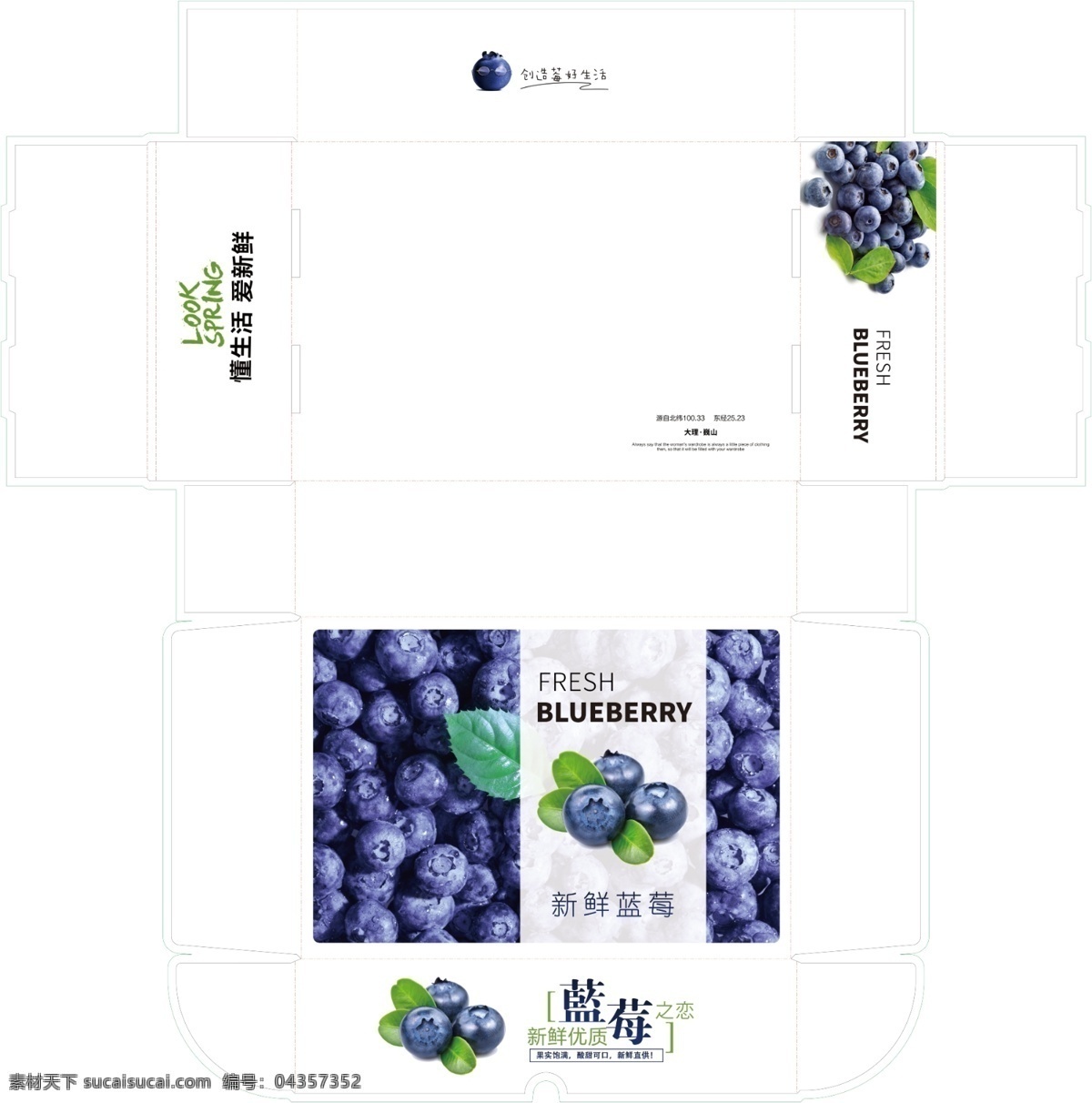 蓝莓 包装 一体 盒 飞机盒 水果包装 模板 生鲜包装 保险运输盒