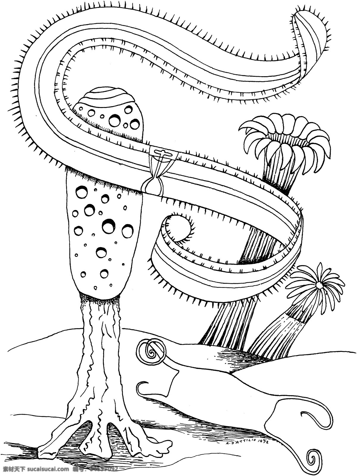 海洋生物 动物素材 海洋 动物 手绘 画 设计素材 动物专辑 素描速写 书画美术 白色