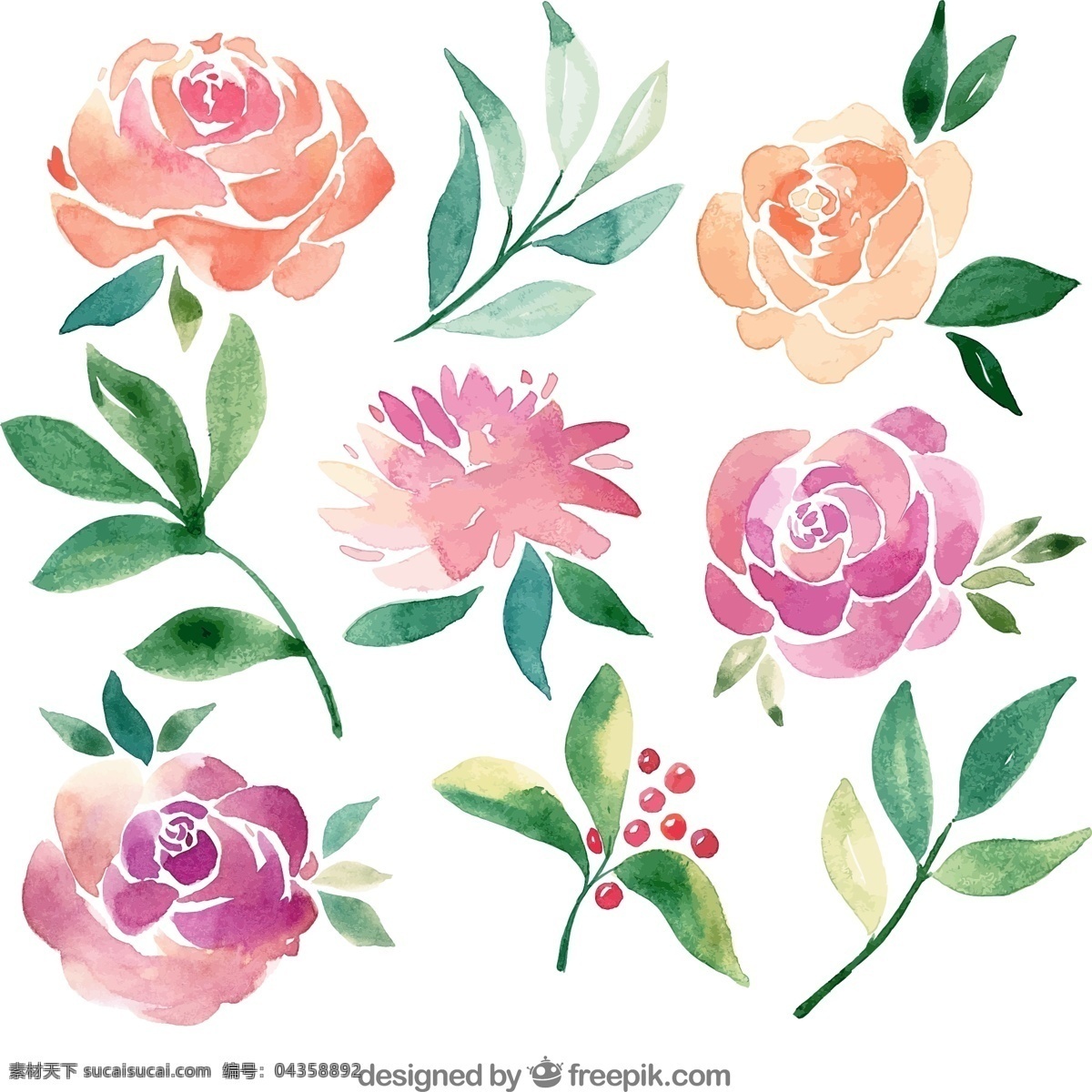 款 水彩 绘 花卉 叶子 矢量图 玫瑰花 水彩绘花卉 文化艺术 绘画书法