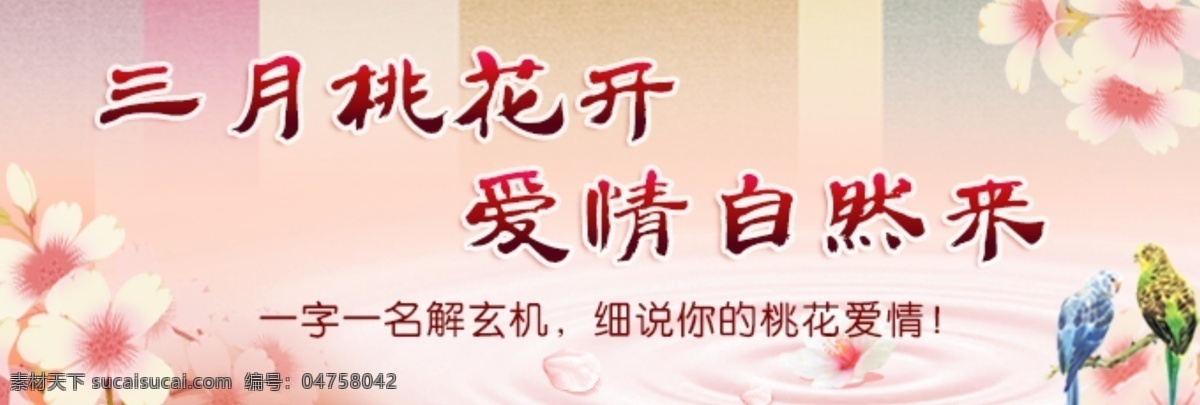 桃花运 专题 banner 桃花 爱情 粉色 浪漫 白色