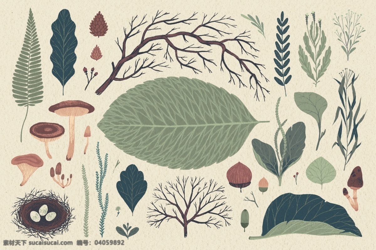 手绘 各种各样 形态 植物 树叶 源文件 蘑菇 鸟蛋 树枝 叶子 装饰图案