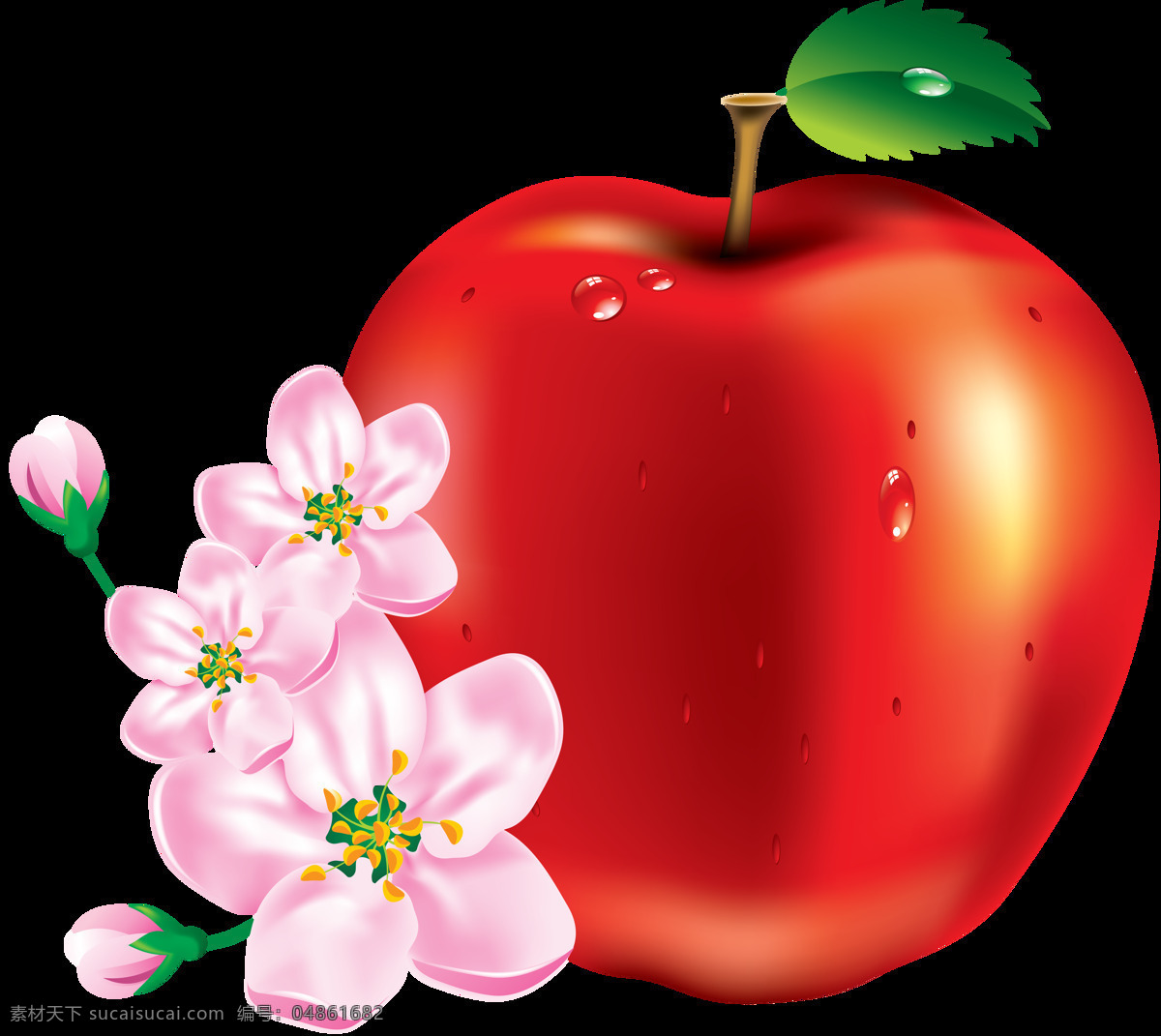 苹果 红苹果 水晶苹果 苹果花 花朵 创意水果 水果静物 水果 营养 apple 美味 新鲜 新鲜水果 高清 特写 生物世界 红色