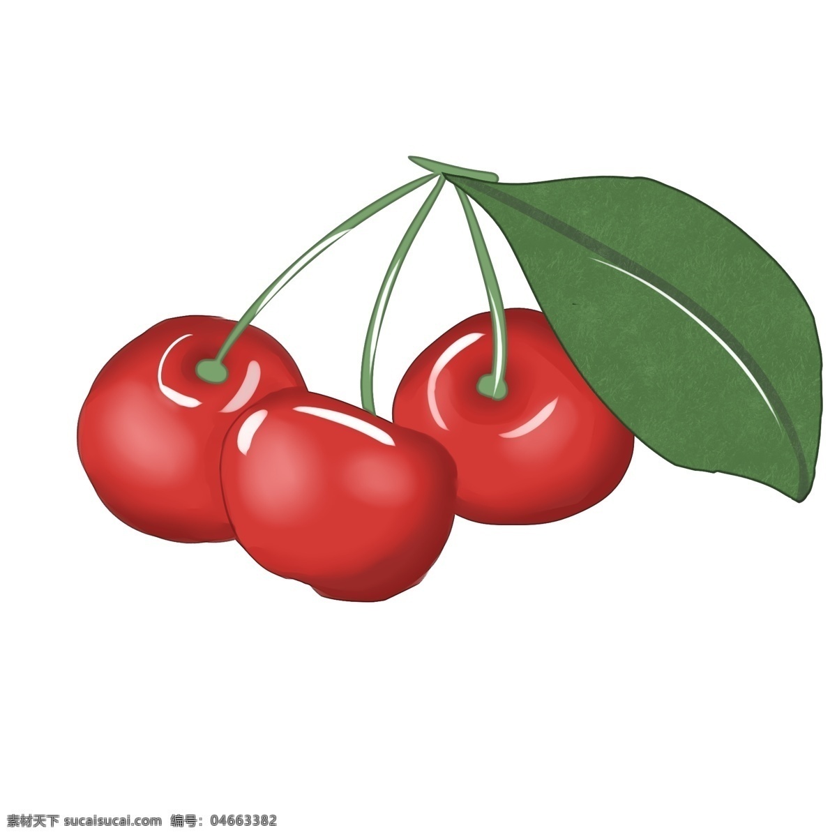 樱桃 清新 水果 种植 生长 卡通 味道 植物 绿色食品 维生素 红色 装饰画 装饰 大自然 培育 甜 圆形 绿色 可爱