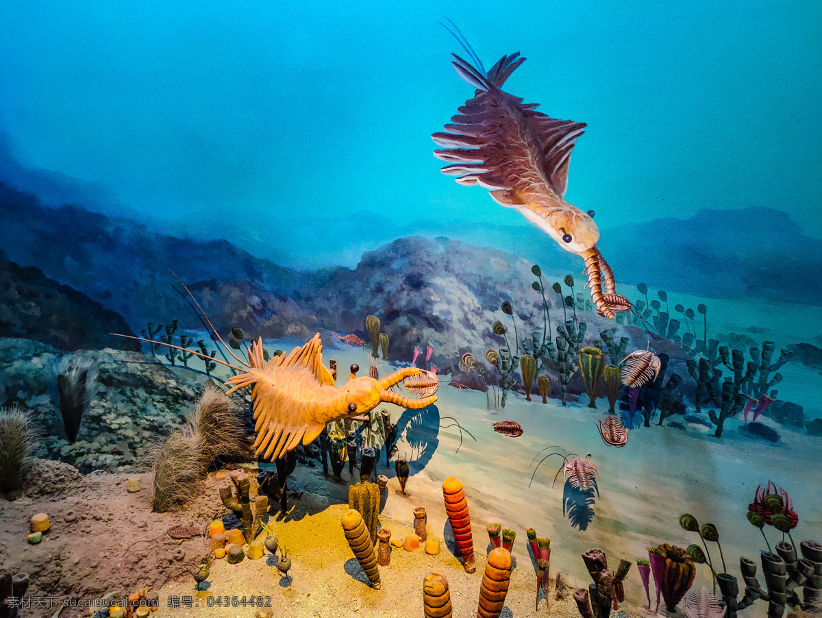 海底世界 杭州 博物馆 景点 风景 自然 人文 文化 动物 海底 爱 旅游摄影 国内旅游