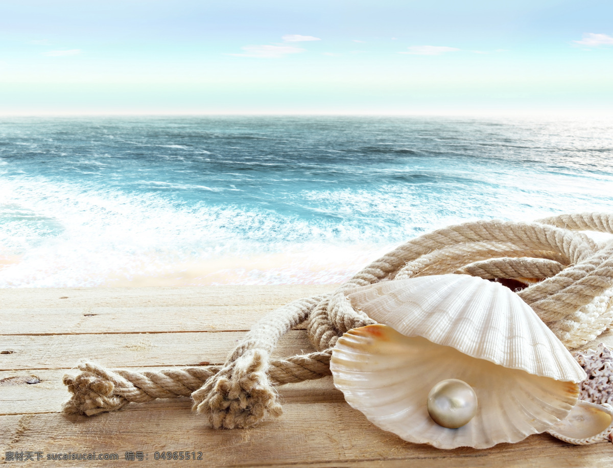 珍珠贝壳高清 珍珠贝壳图片 珍珠贝壳 唯美海边 木甲板 木板 甲板