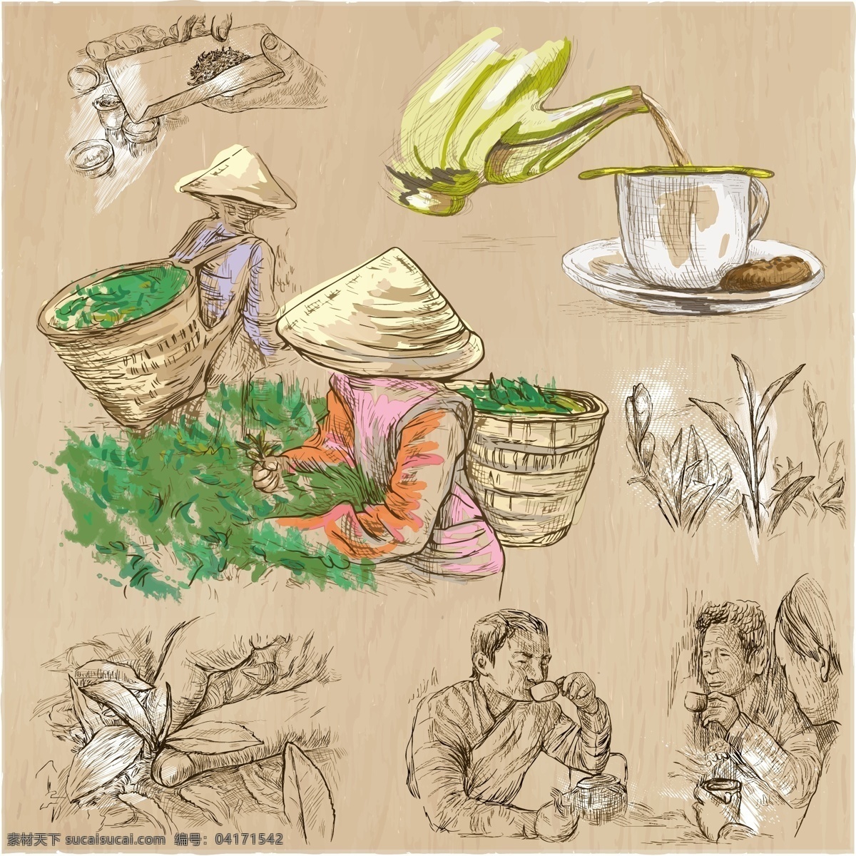 手绘 采茶 人物 插画 素描 茶叶 工人 喝茶 帽子