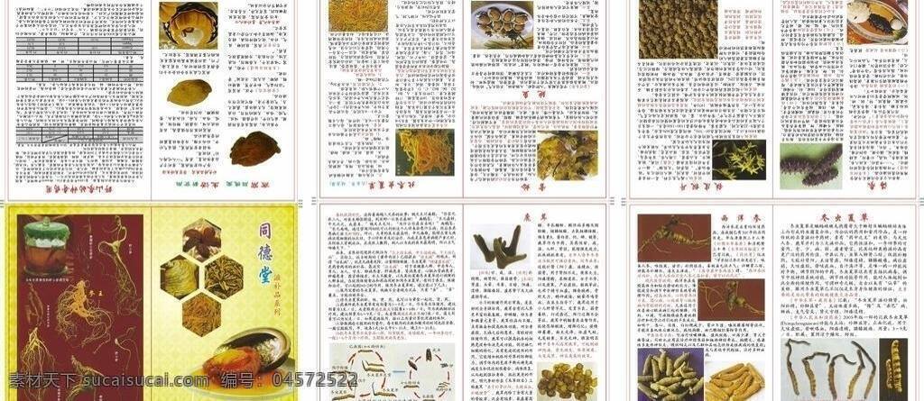 医药公司 画册 草药 封面设计 广告设计模板 画册内页 画册设计 人参 食品 养生 医药公司画册 源文件 矢量 psd源文件 餐饮素材