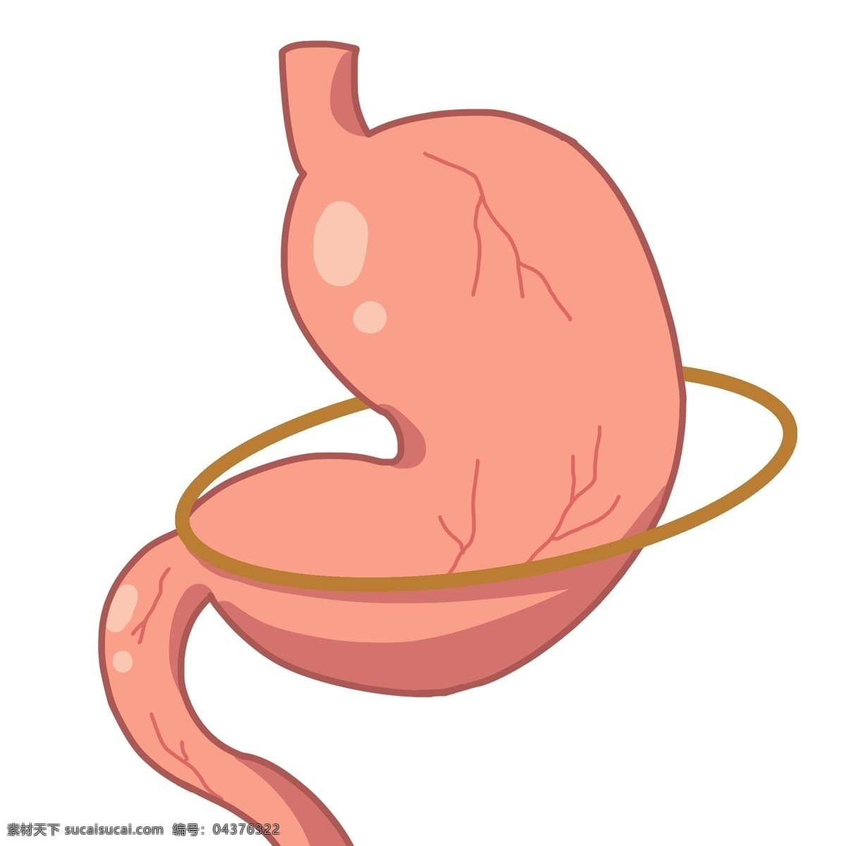 粉红色 胃部 装饰 插画 粉红色的胃部 人体器官 健康的器官 身体器官 毛细血管 医学 内脏 卡通插画