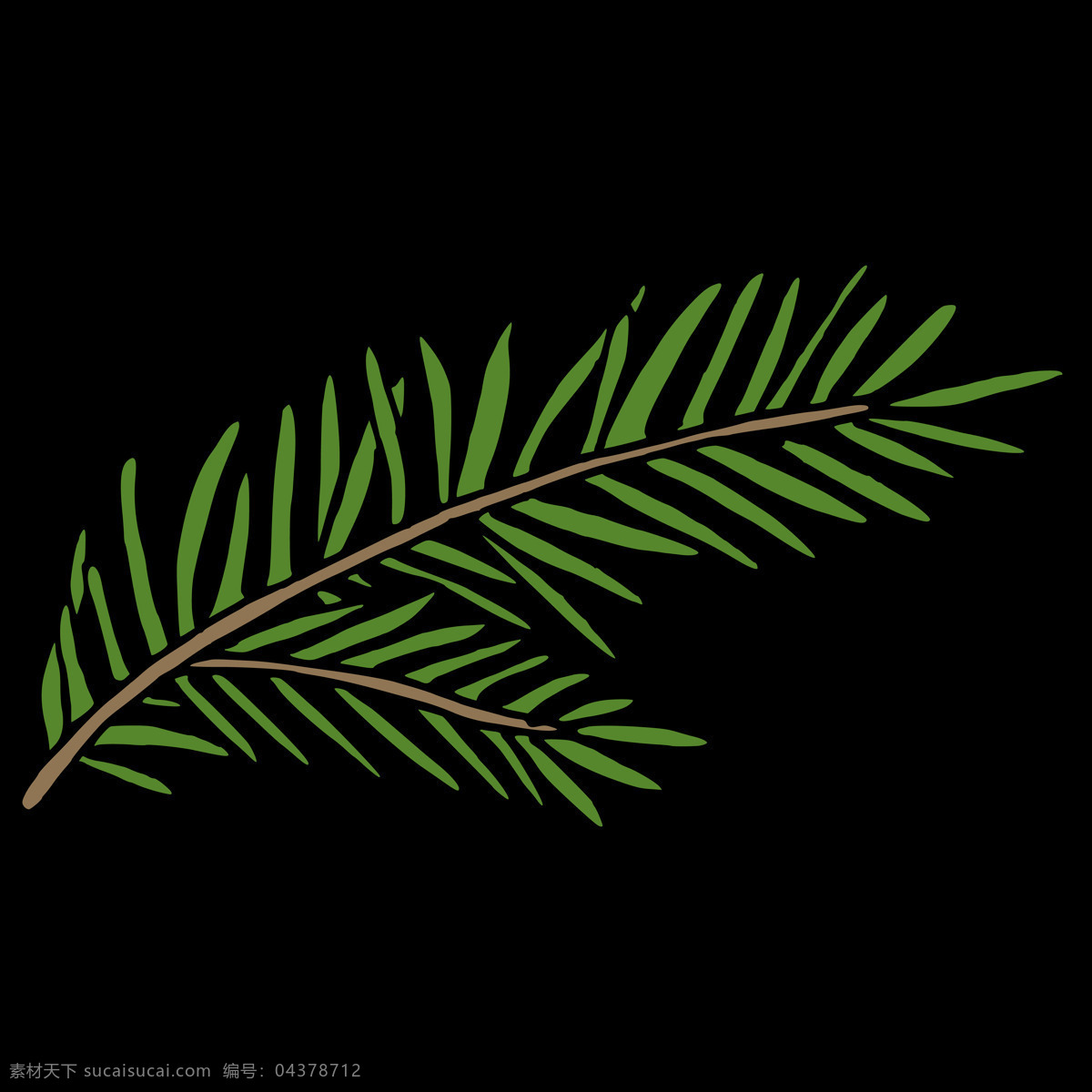 株 手绘 绿色 蕨类植物 冬天 透明 装饰 蕨类 绿叶 免扣素材 透明素材 植物 装饰图片