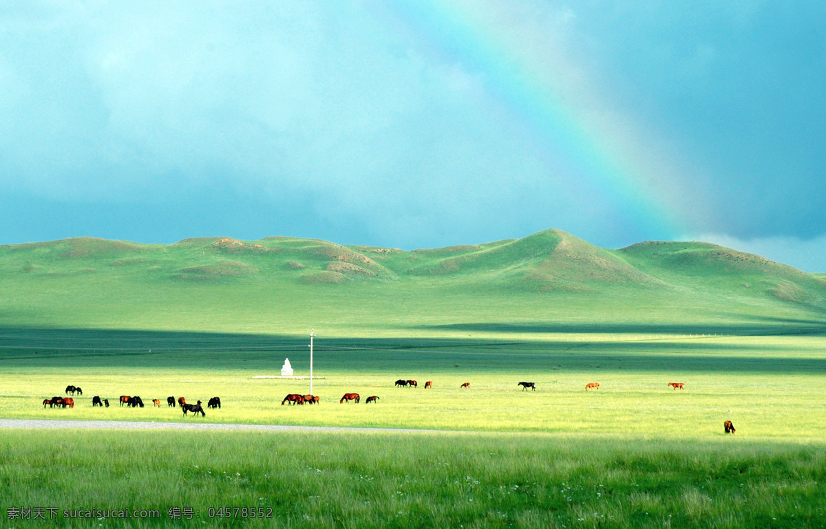 内蒙古 锡林 格勒 草原 锡林浩特 锡林格勒 彩虹 马 内蒙古草原 山水风景 自然景观