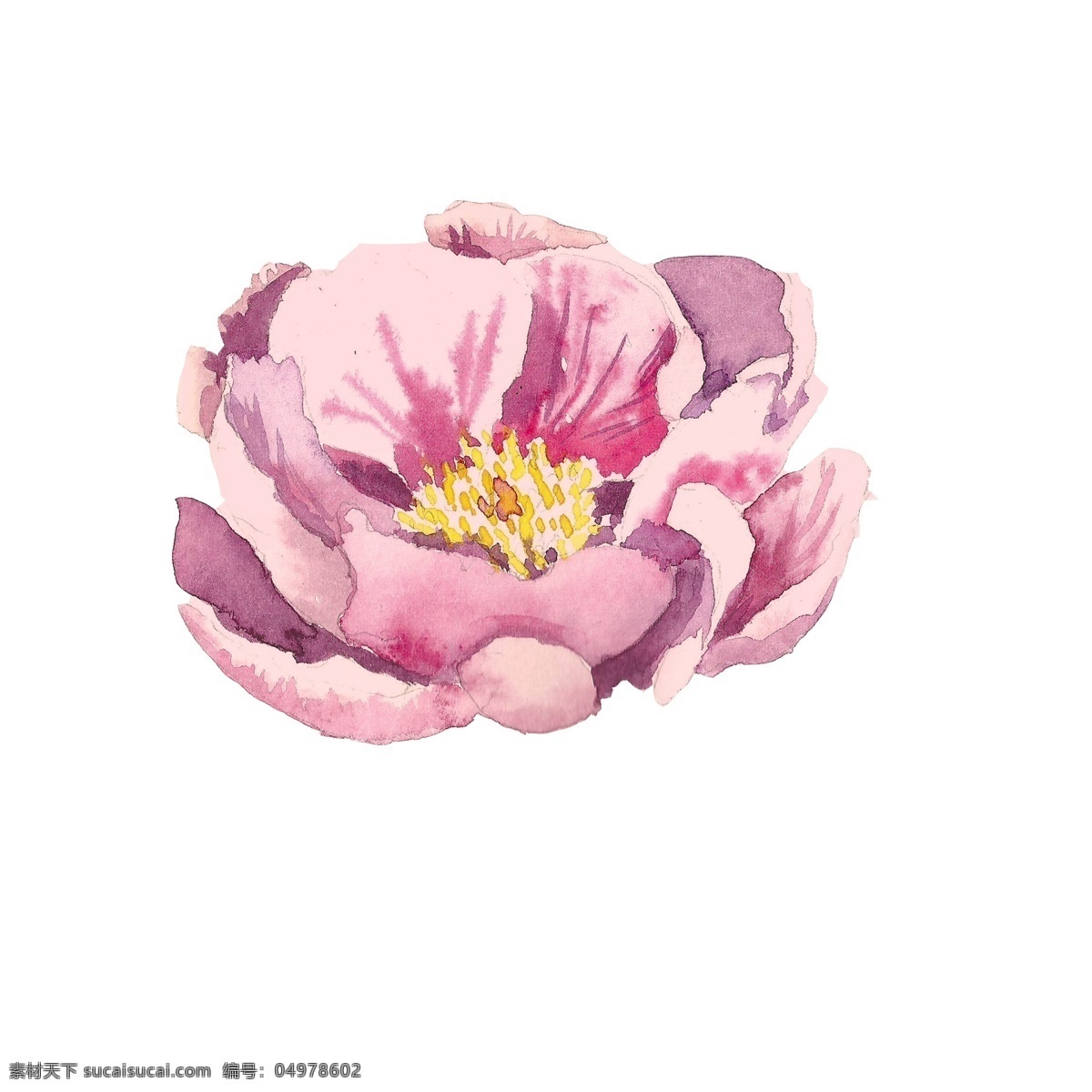 迷人 粉色 花朵 源文件 海报设计装饰 花卉 设计素材 淘宝素材 装饰