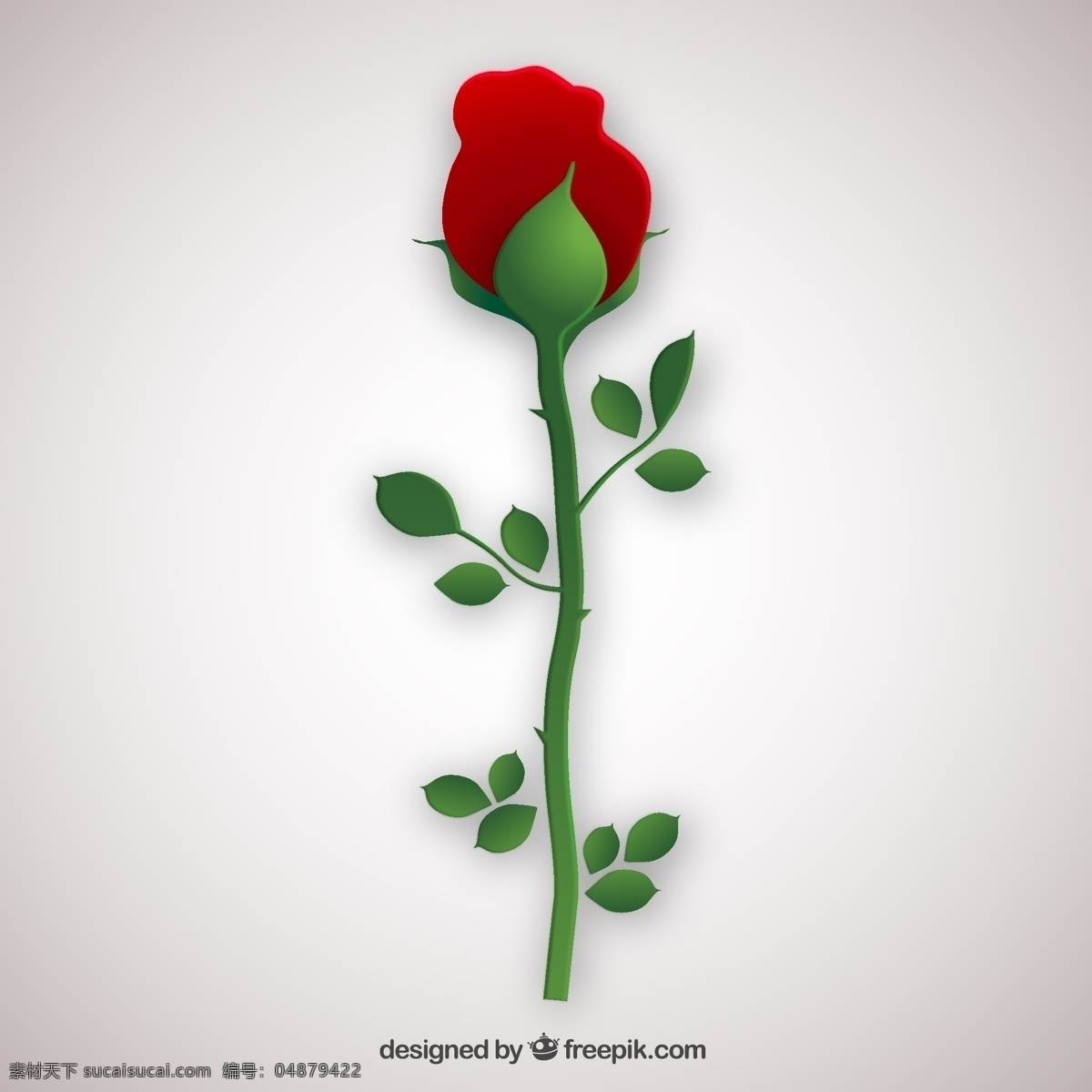 单 枝 红玫瑰 花 矢量 单枝 玫瑰花 矢量图 植物 情人节 精油 玫瑰精油