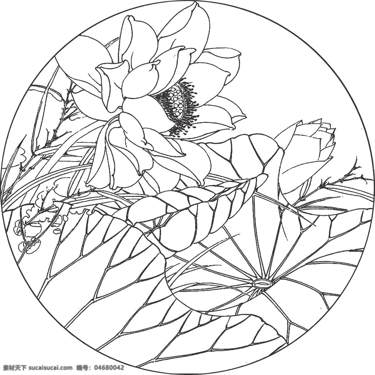 荷花 花卉 植物 观赏 线条 矢量 传统 民俗 装饰 插画 白描 花卉白描图 文化艺术 绘画书法