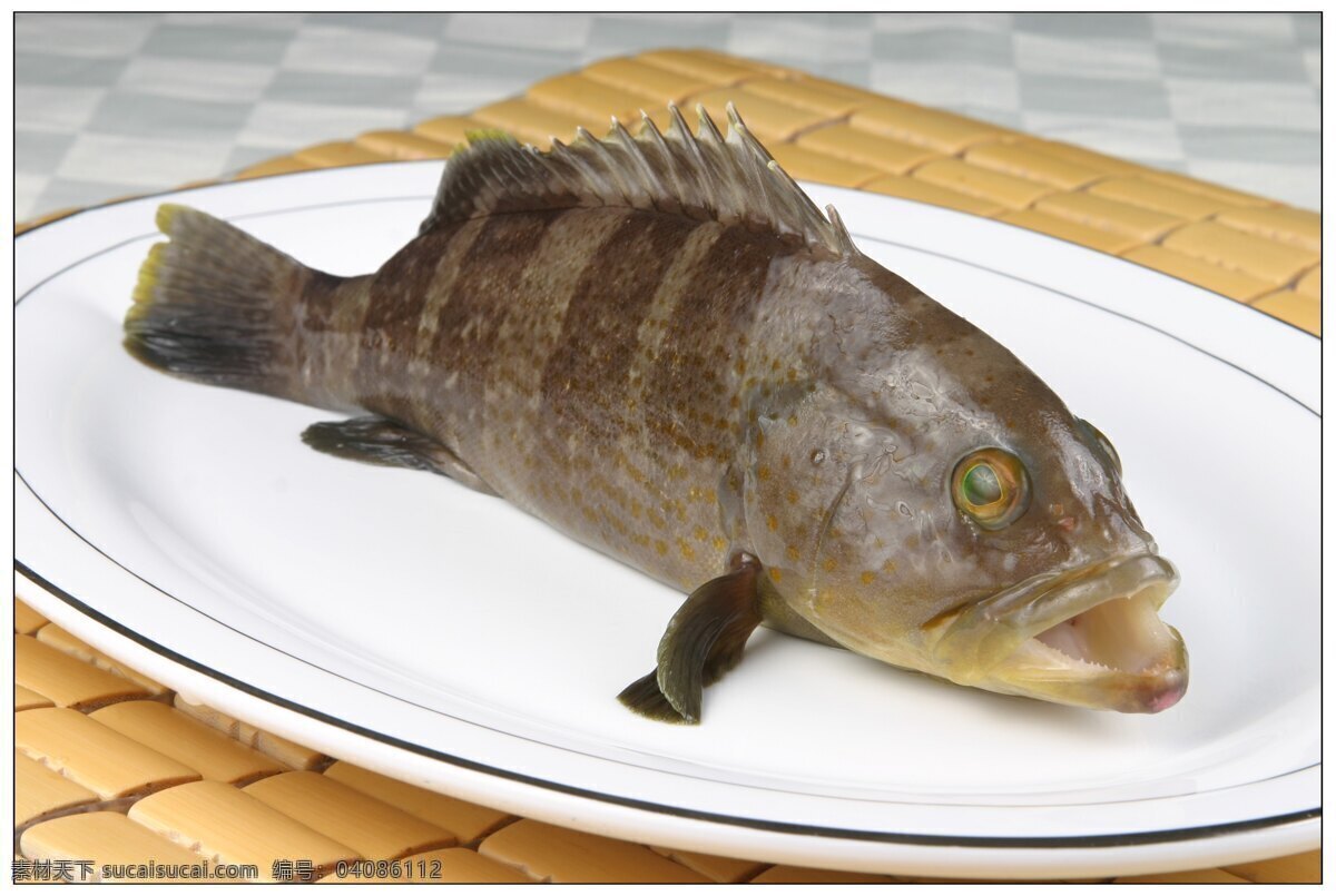 石斑鱼 美食摄影 传统菜 家常菜 传统美食 菜 餐饮美食